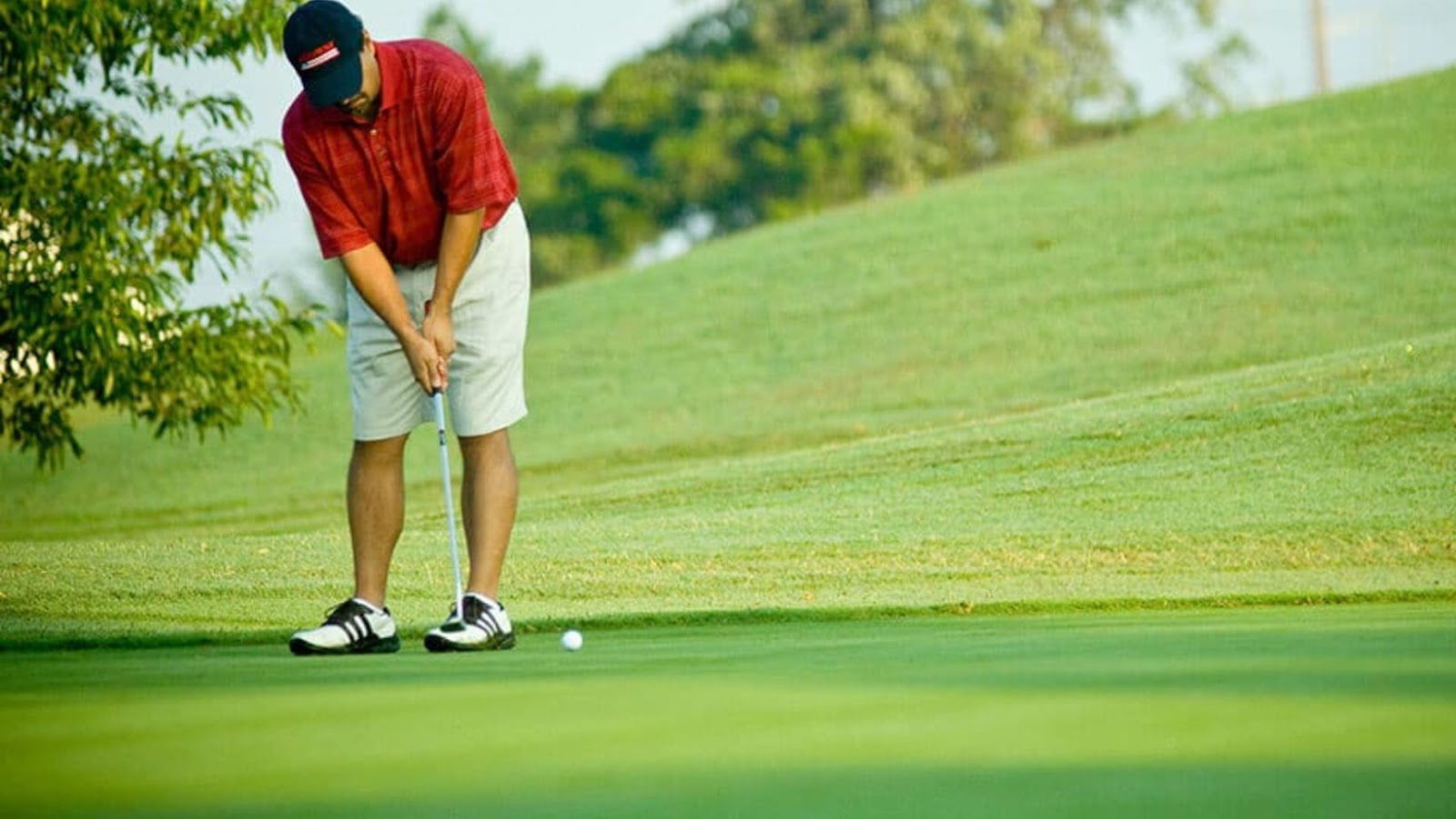 Golf is a Popular Sport Enjoyed by People all Over the World