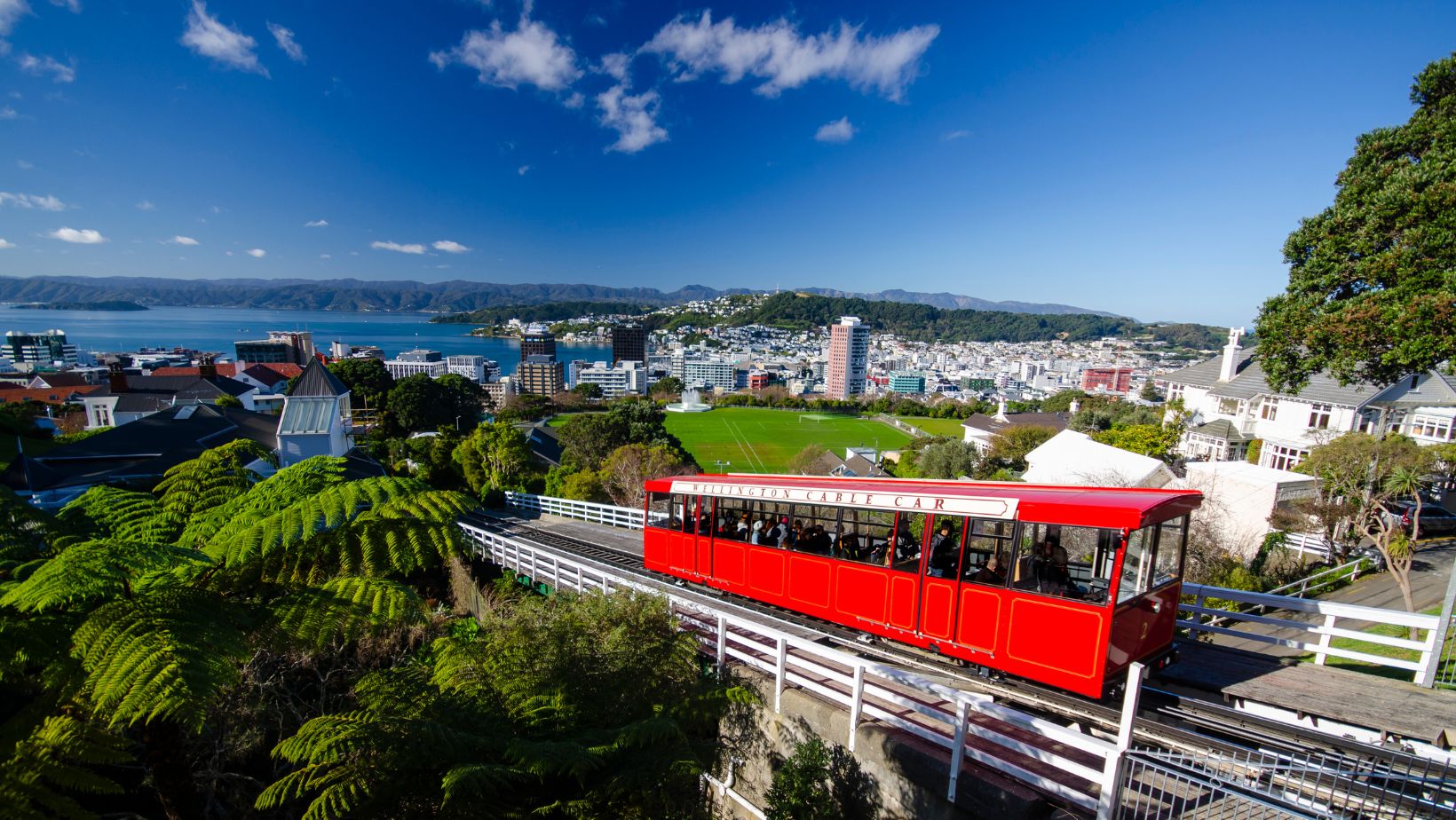 How to Capture Instagram-Worthy Moments in New Zealand?