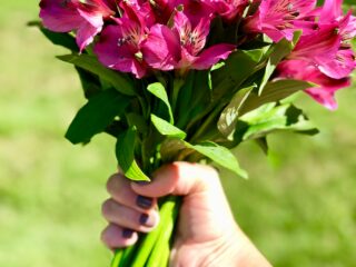 Ideal Flower Choices for Sending to Moscow Based on Russian Traditions